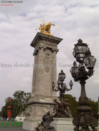 DSC00181.jpg