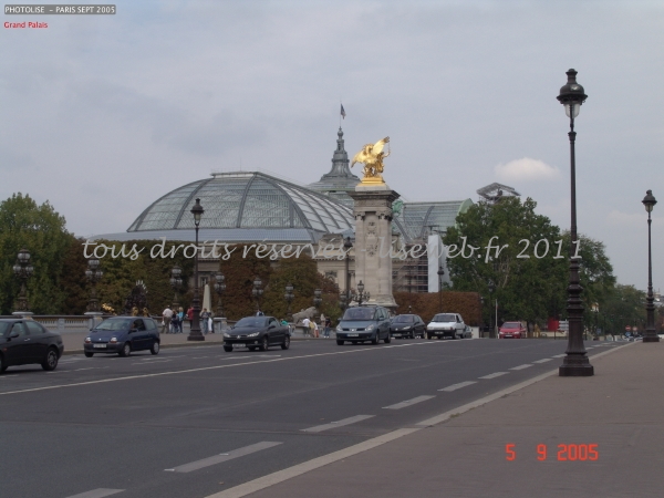 DSC00184.jpg