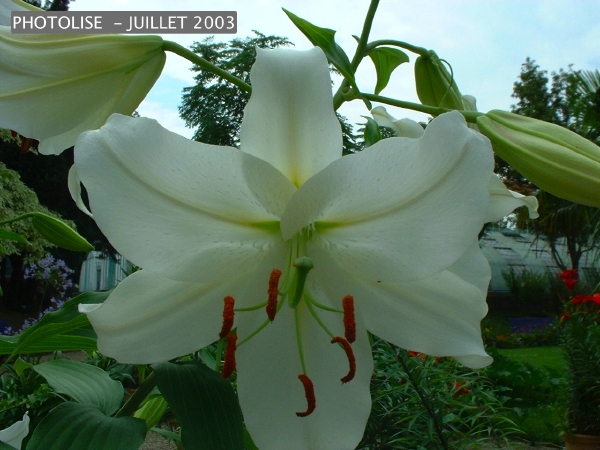 DSCF0251.jpg