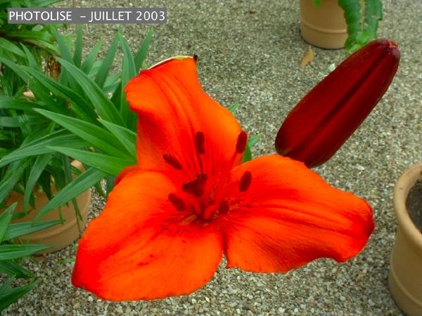 DSCF0253.jpg