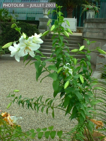 DSCF0254.jpg