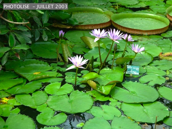 DSCF0267.jpg