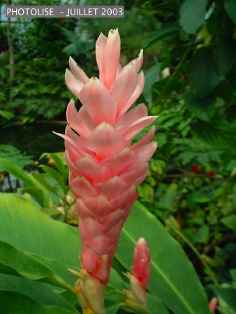 DSCF0269.jpg