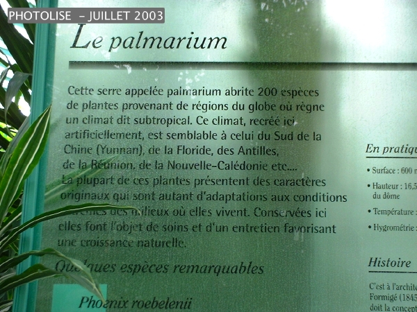 DSCF0270.jpg