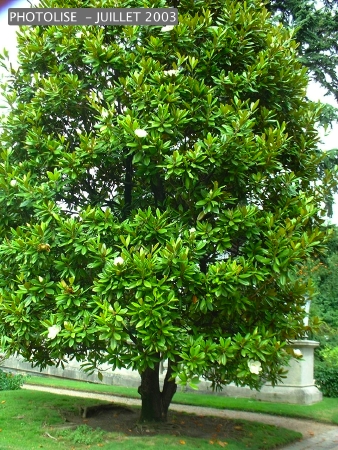 DSCF0271.jpg