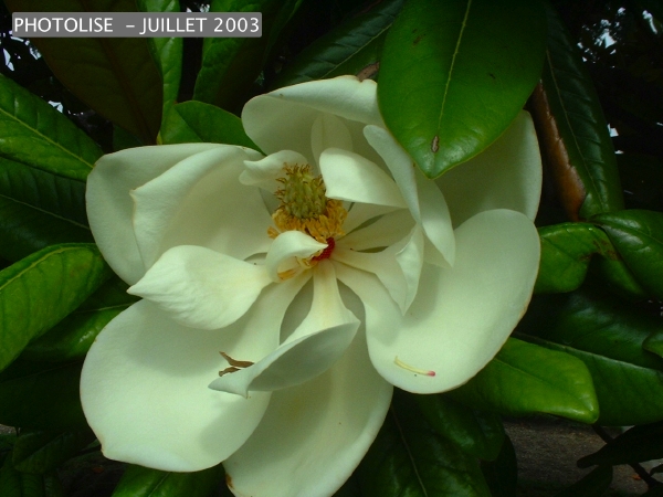 DSCF0272.jpg