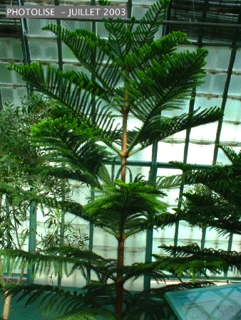 DSCF0273.jpg