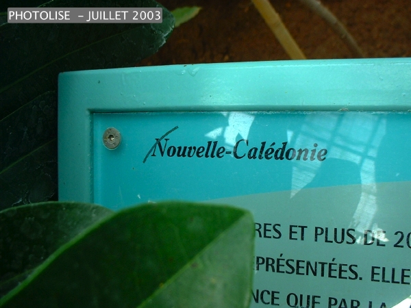 DSCF0276.jpg