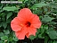 DSCF0235.jpg