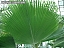 DSCF0246.jpg