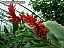 DSCF0260.jpg