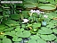 DSCF0267.jpg