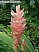 DSCF0269.jpg
