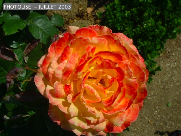 DSCF0277.jpg