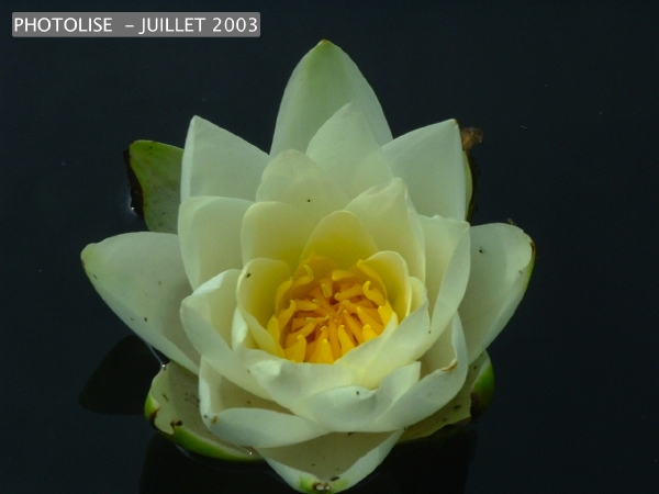 DSCF0282.jpg