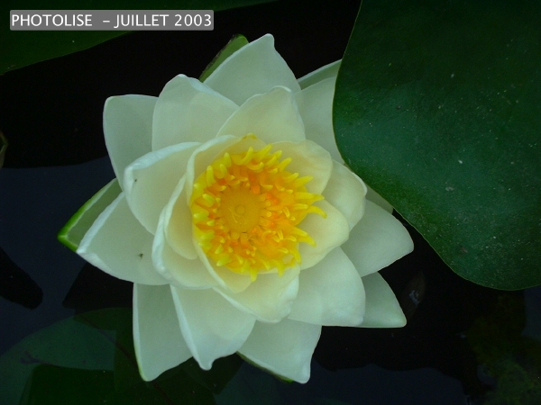 DSCF0284.jpg