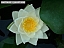 DSCF0284.jpg