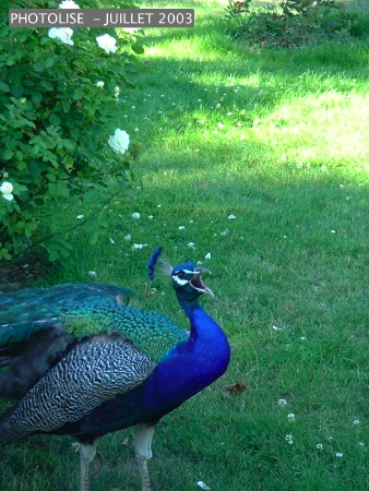 DSCF0306.jpg