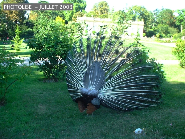 DSCF0311.jpg