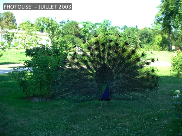 DSCF0312.jpg