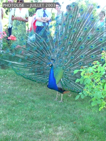 DSCF0317.jpg