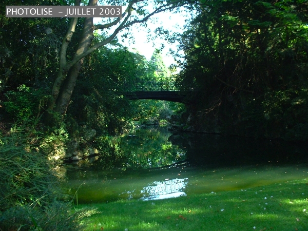 DSCF0324.jpg