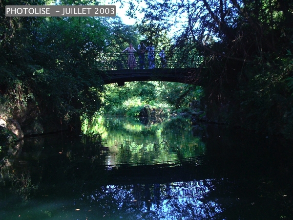 DSCF0325.jpg