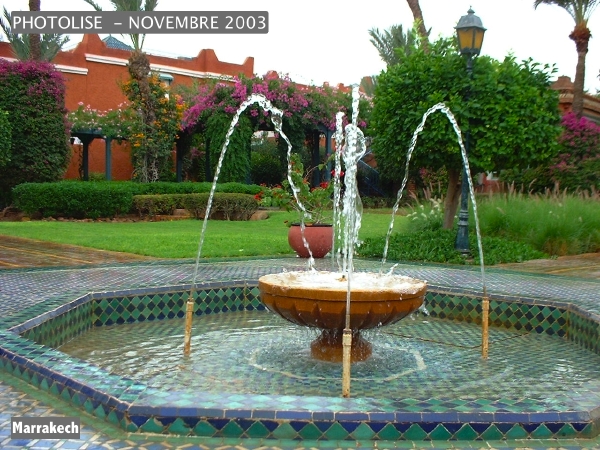 DSCF0420.jpg