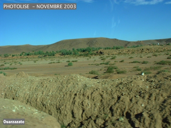 DSCF0433.jpg