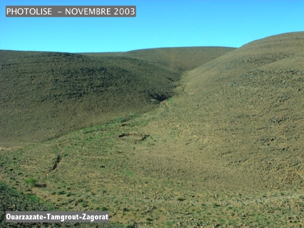 DSCF0465.jpg