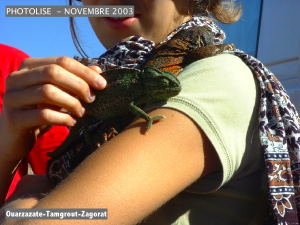 DSCF0469.jpg