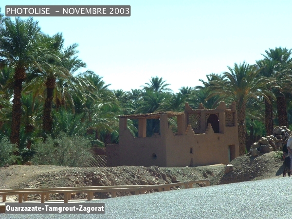 DSCF0471.jpg