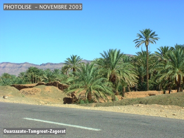 DSCF0472.jpg