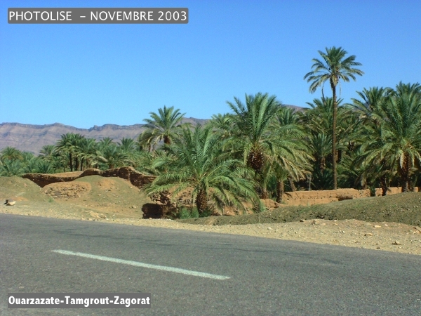 DSCF0473.jpg