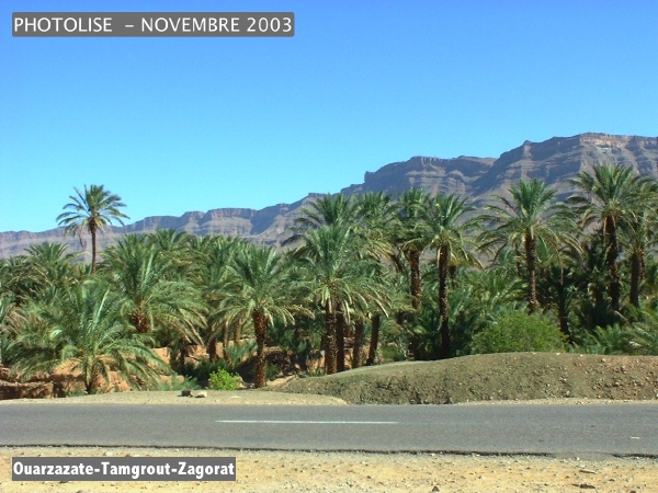 DSCF0474.jpg