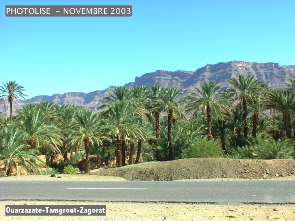 DSCF0475.jpg