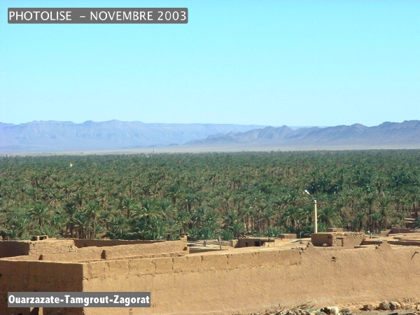 DSCF0476.jpg