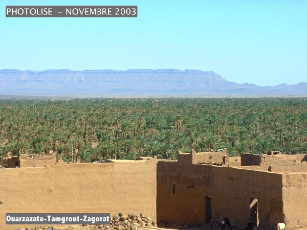 DSCF0478.jpg