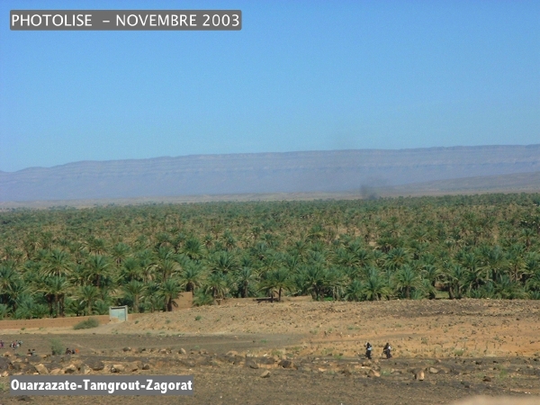 DSCF0479.jpg