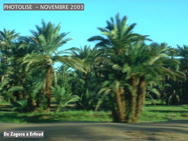 DSCF0508.jpg