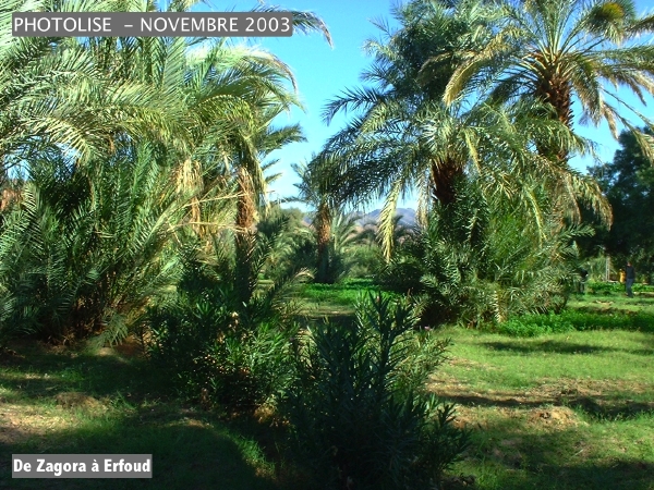 DSCF0509.jpg