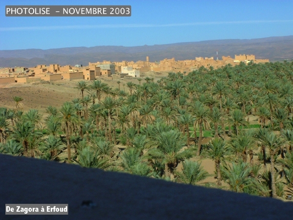 DSCF0523.jpg