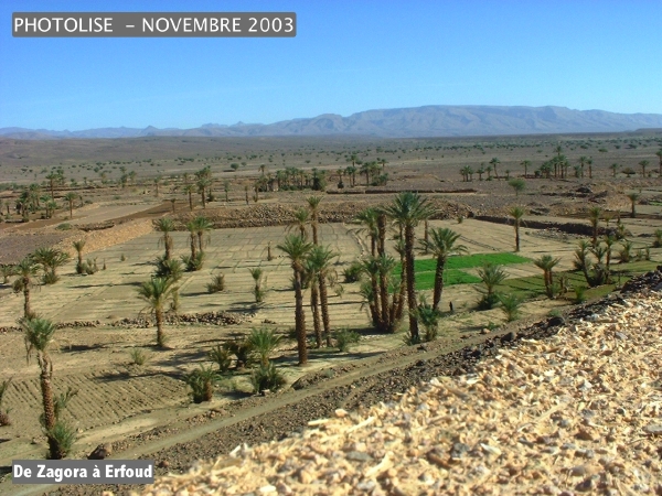 DSCF0527.jpg