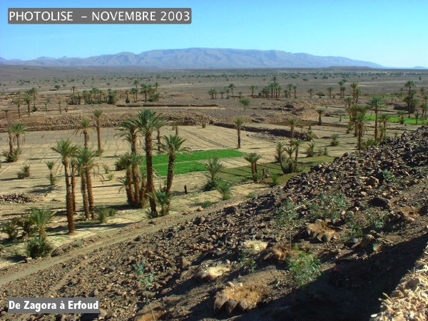 DSCF0530.jpg