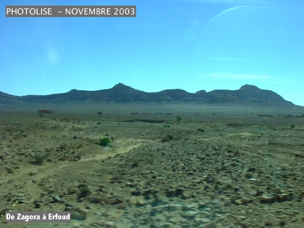 DSCF0534.jpg