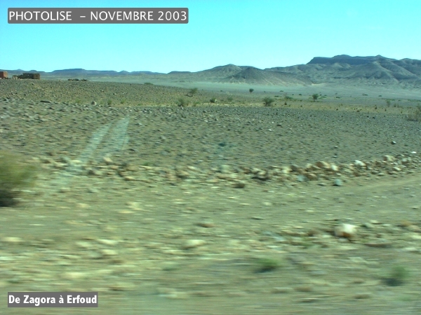 DSCF0537.jpg