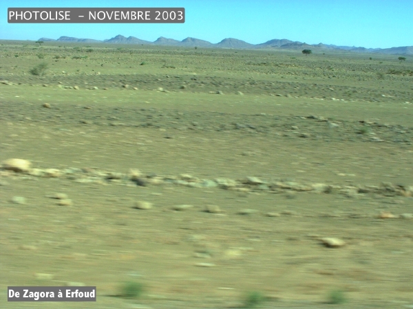 DSCF0538.jpg