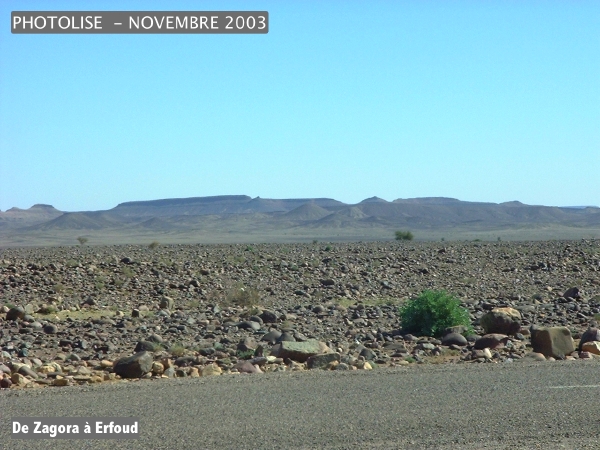 DSCF0542.jpg