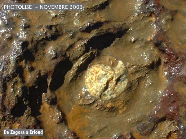 DSCF0544.jpg