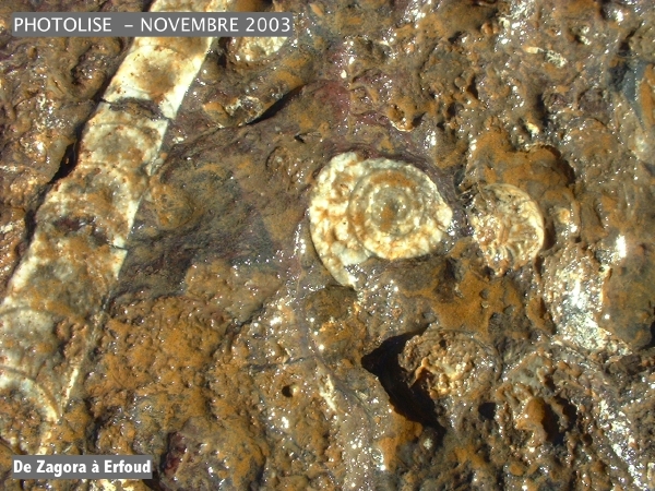 DSCF0546.jpg